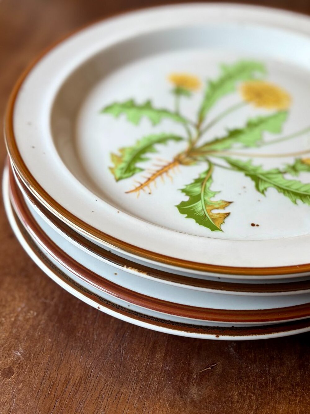 Hearthside Vintage Wildflower Plate Set